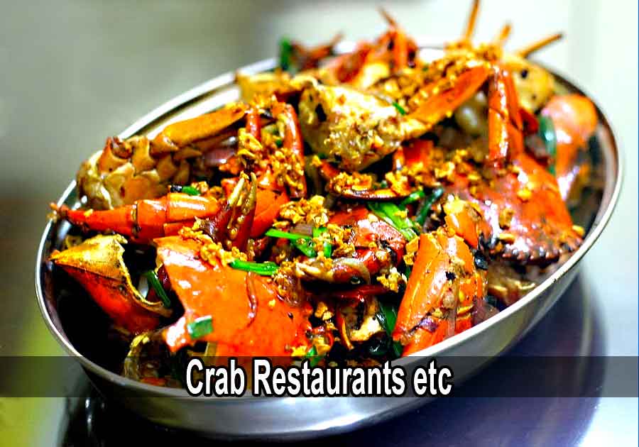 sri lanka crab restaurants web ads portal